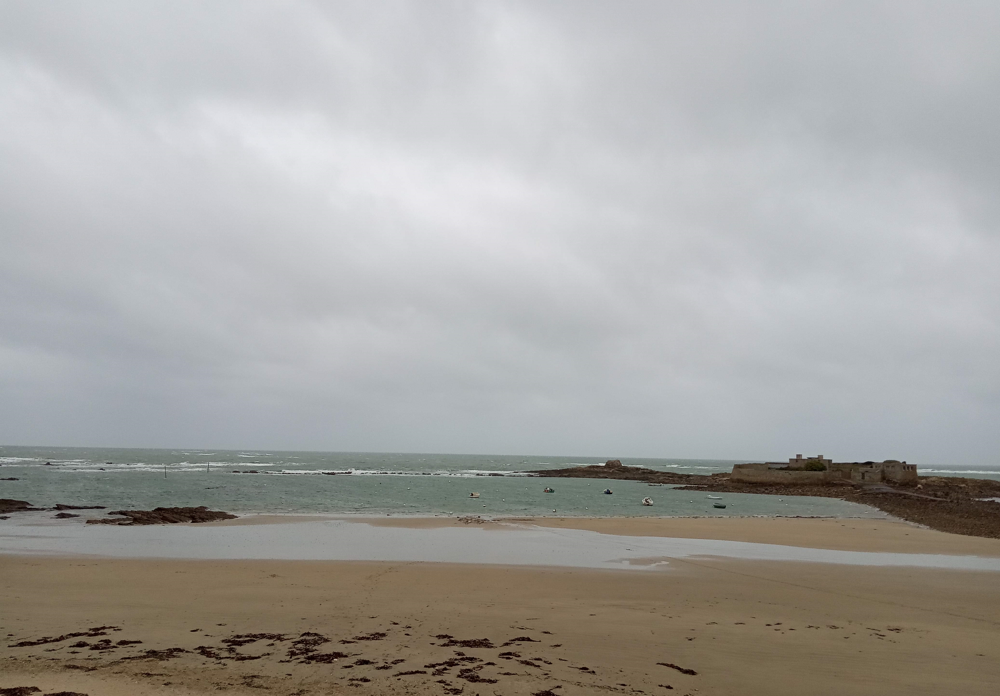 IMG_20191210_113650