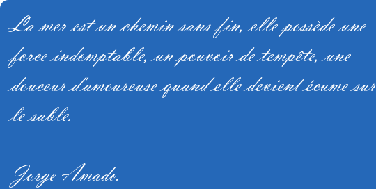 La_mer_est_un_chemin_sans_fin_elle_possede_une_force_-_Jorge_Amado-121452.png