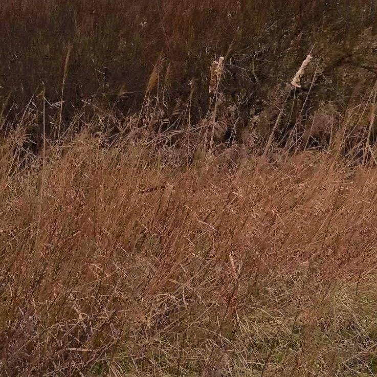 IMG_20200111_170752 (2).jpg