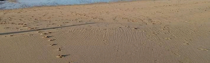 FB_IMG_15800728066818452