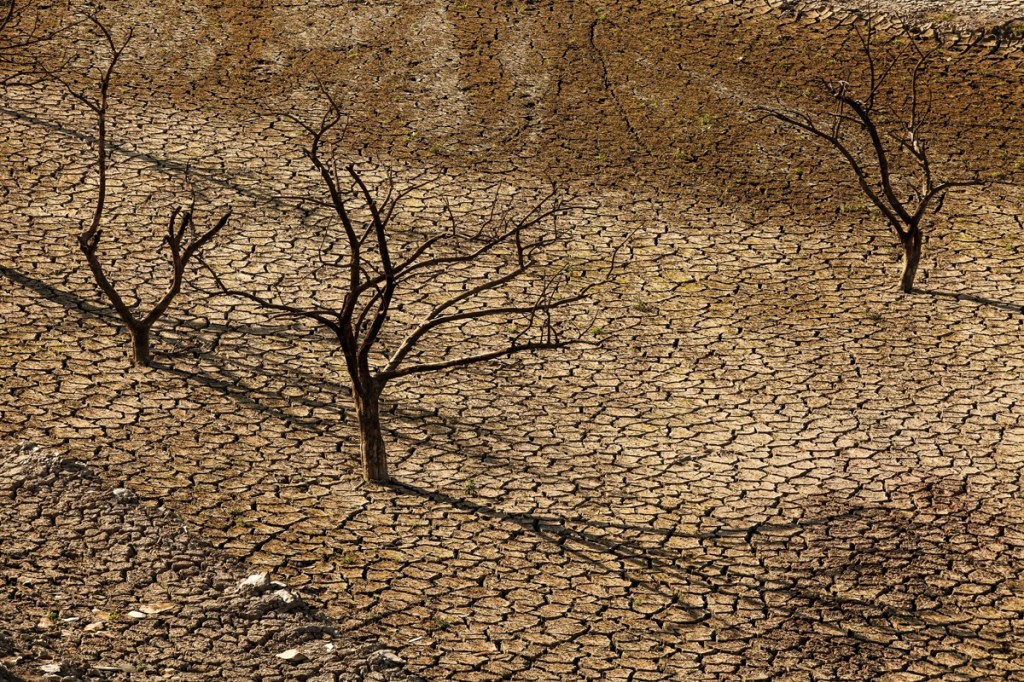 Et toujours les Forêts.. Sandrine&nbsp;Collette