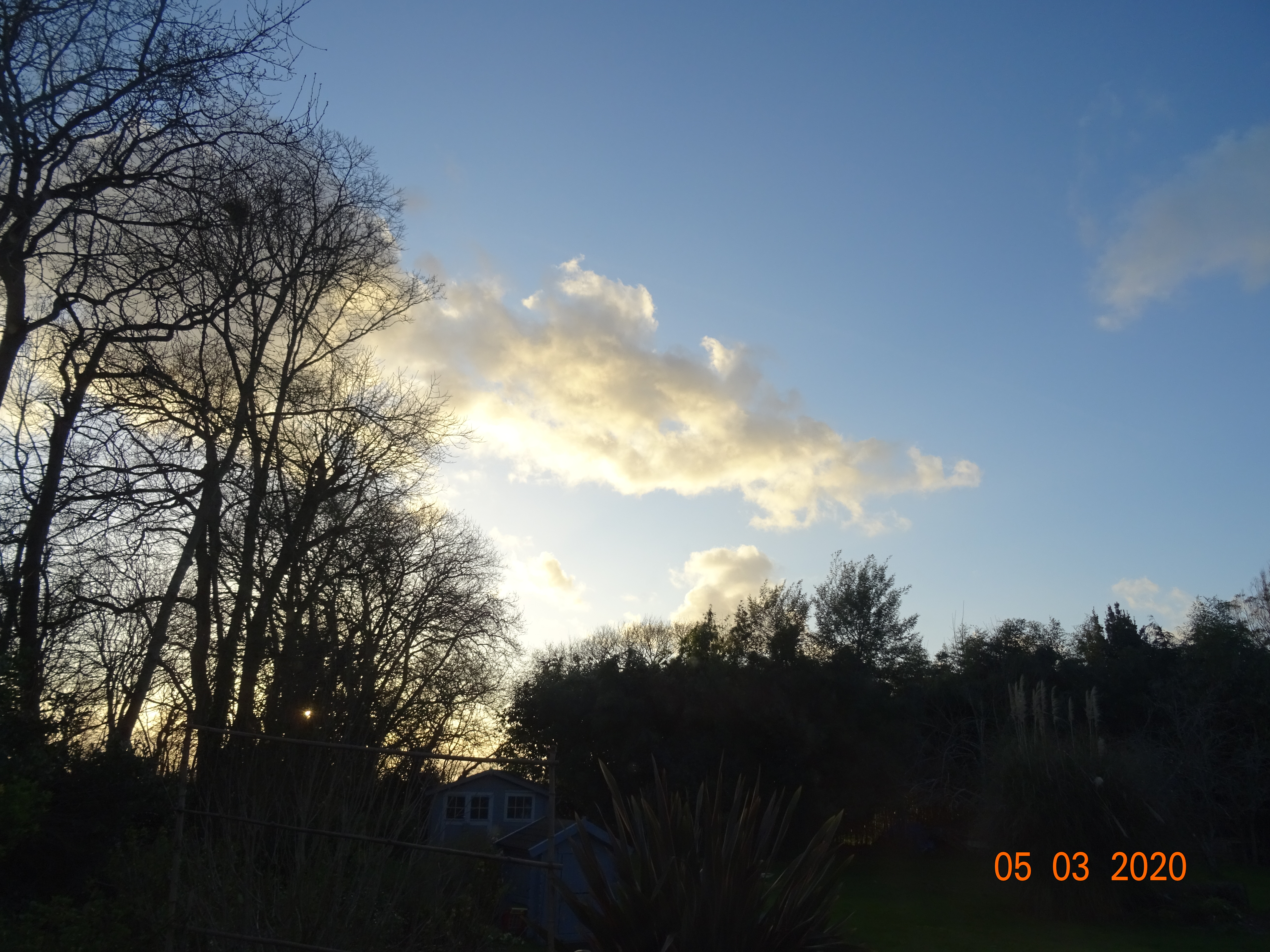DSC03588