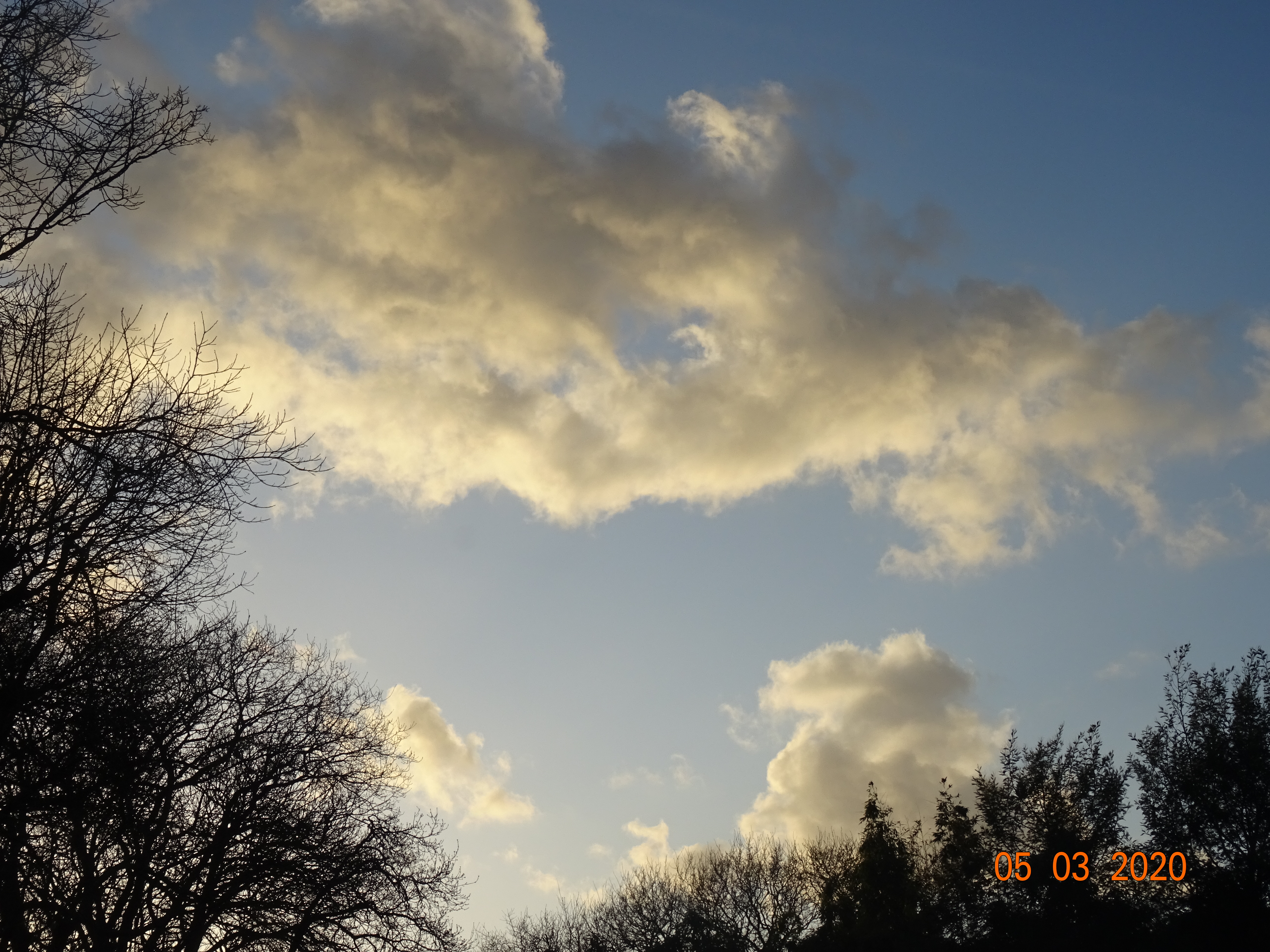 DSC03590