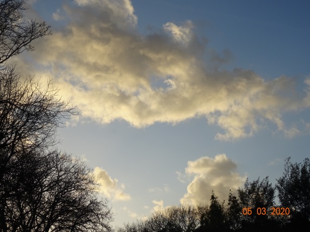 DSC03590