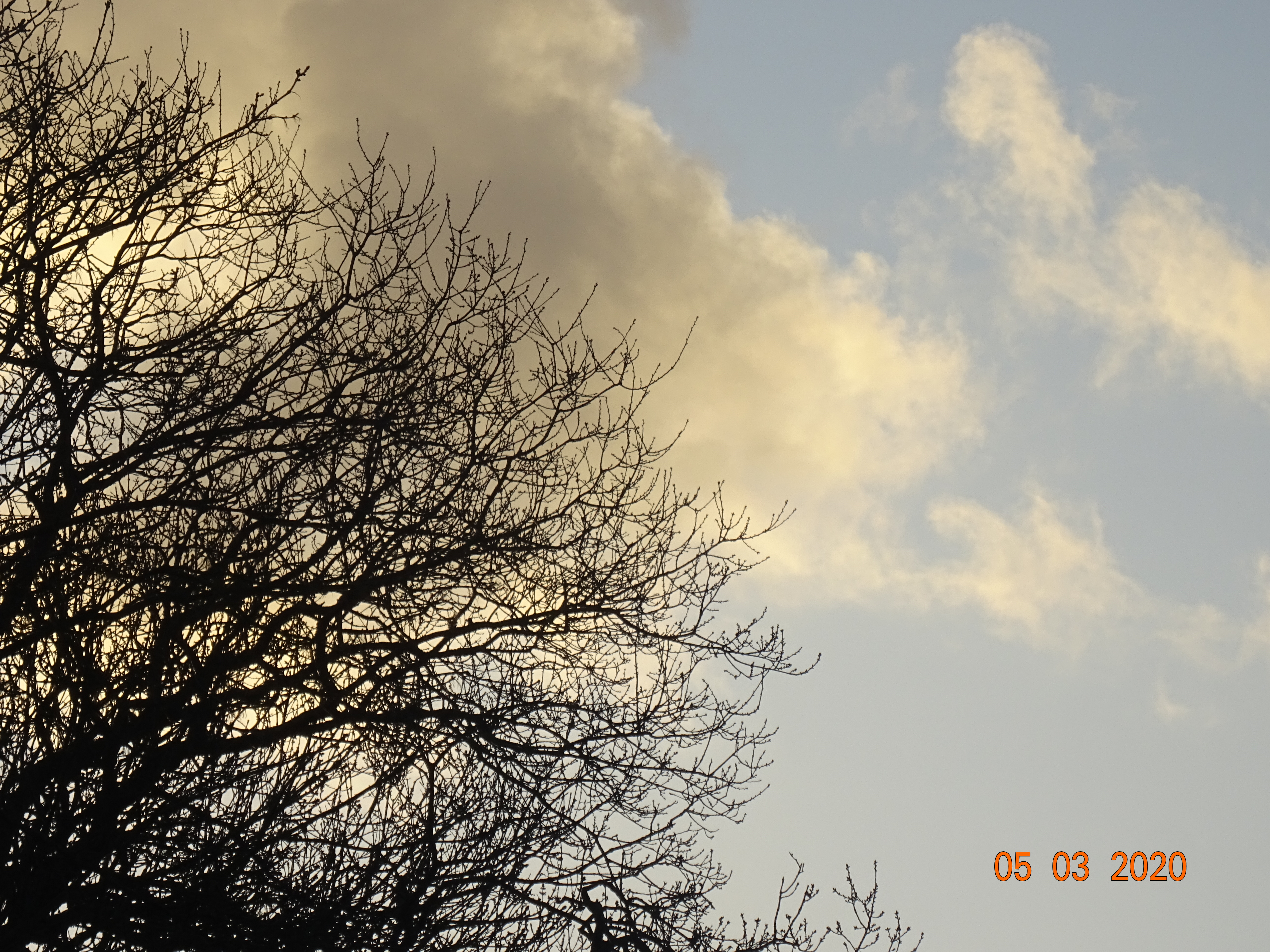 DSC03596