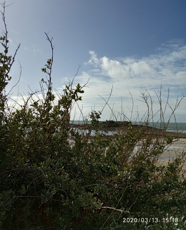 IMG_20200313_151824
