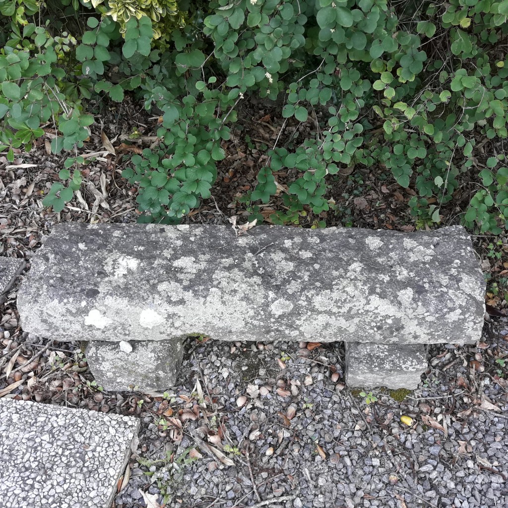VŒUX..