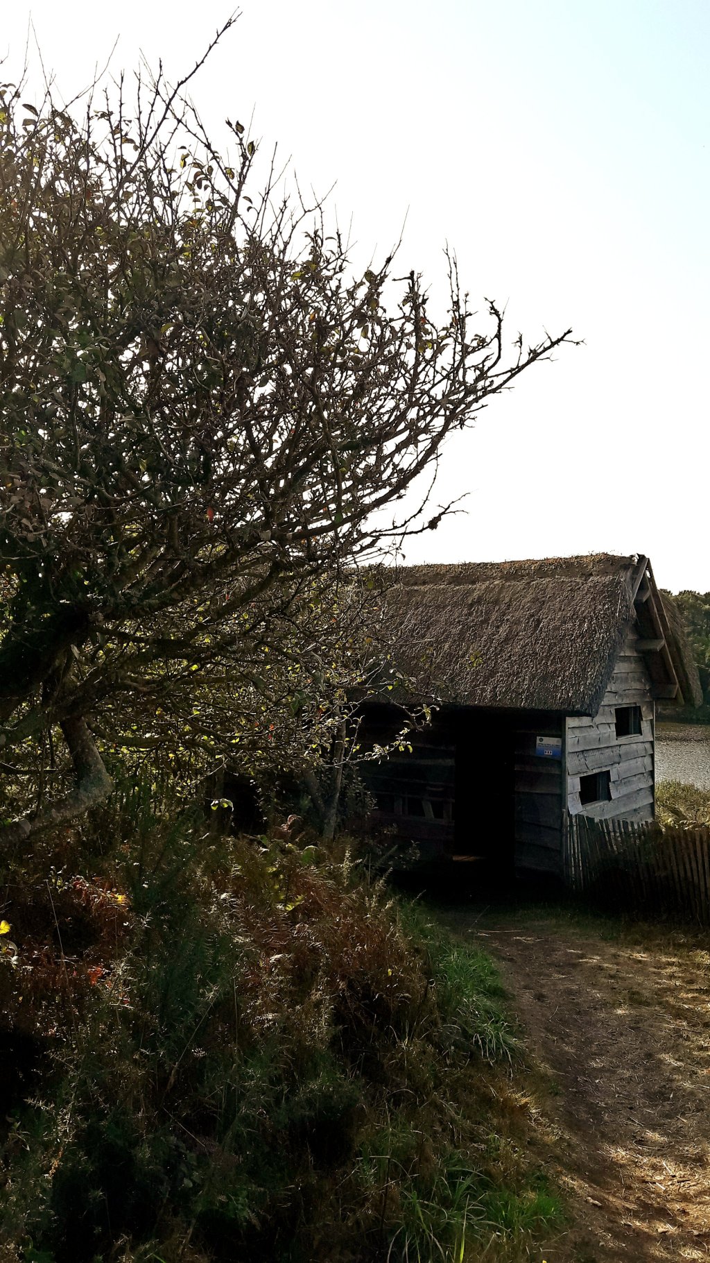 Vers l&rsquo;automne..