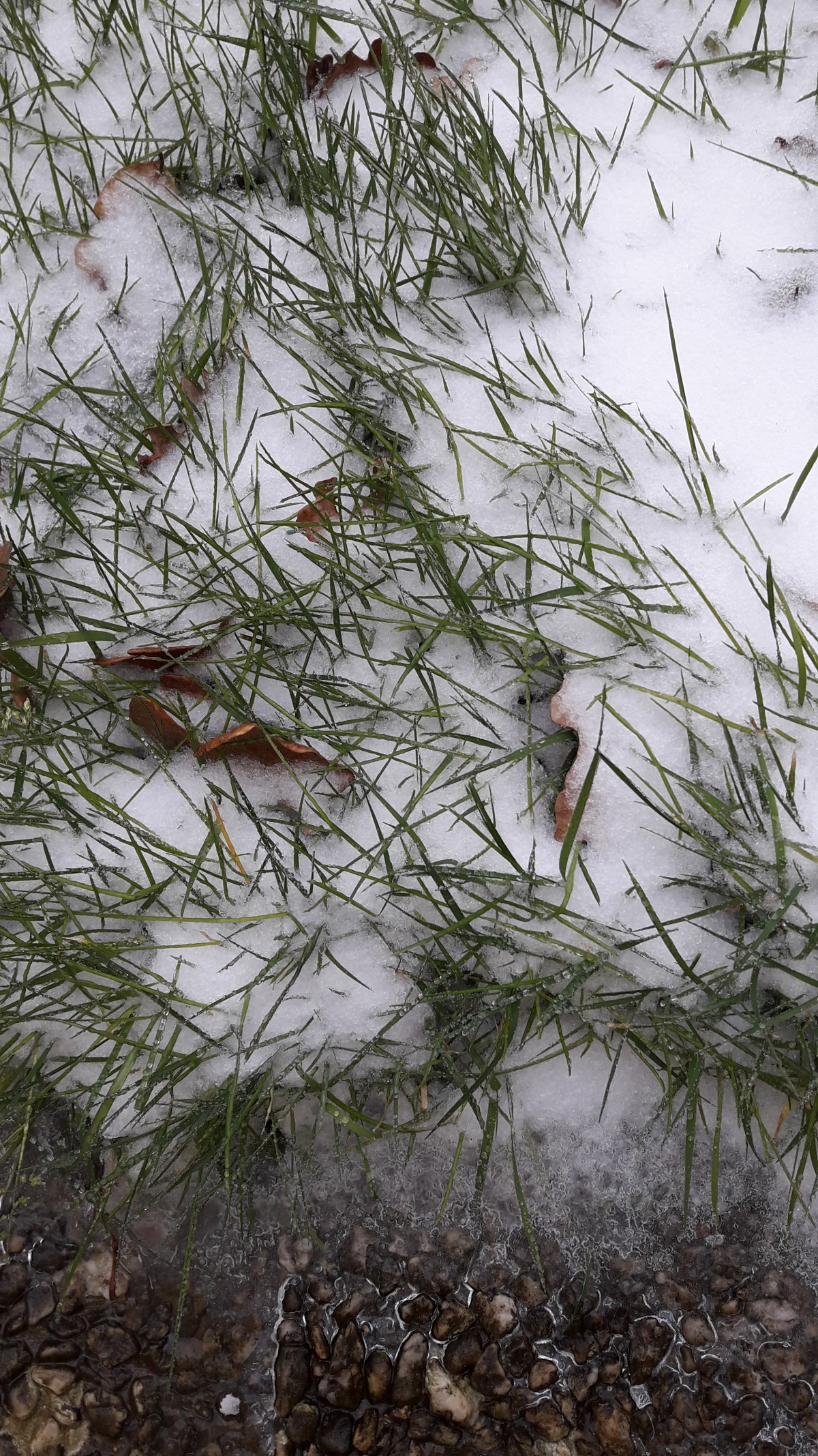 Tu es ma terre, ma mère et mon&nbsp;hiver..