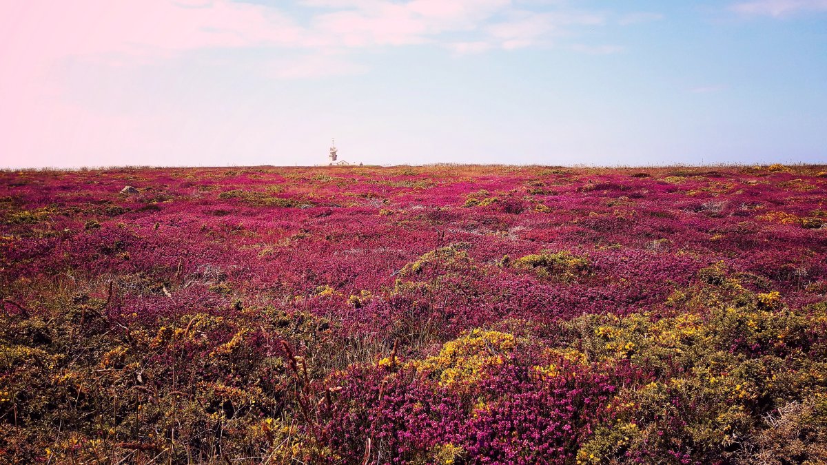 Beg Ar Van (La Pointe Du&nbsp;Van)