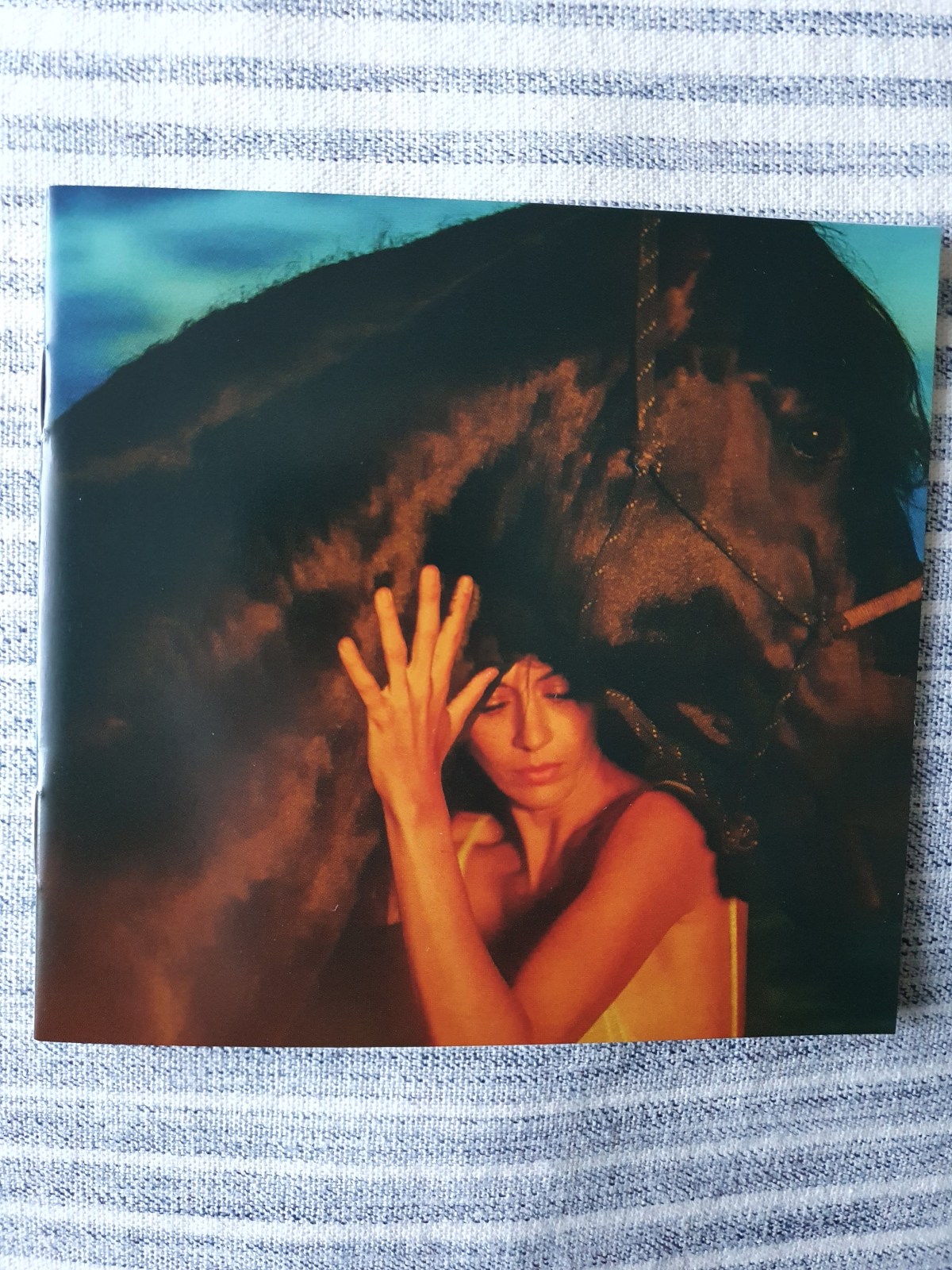 La cavale.. Le nouvel Album de Nolwenn&nbsp;Leroy