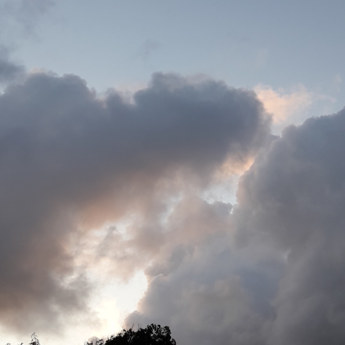 THE VERVE (Richard&nbsp;Ashcroft)