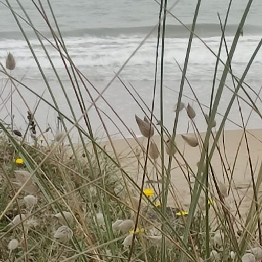 Je me trouve face à la&nbsp;mer..