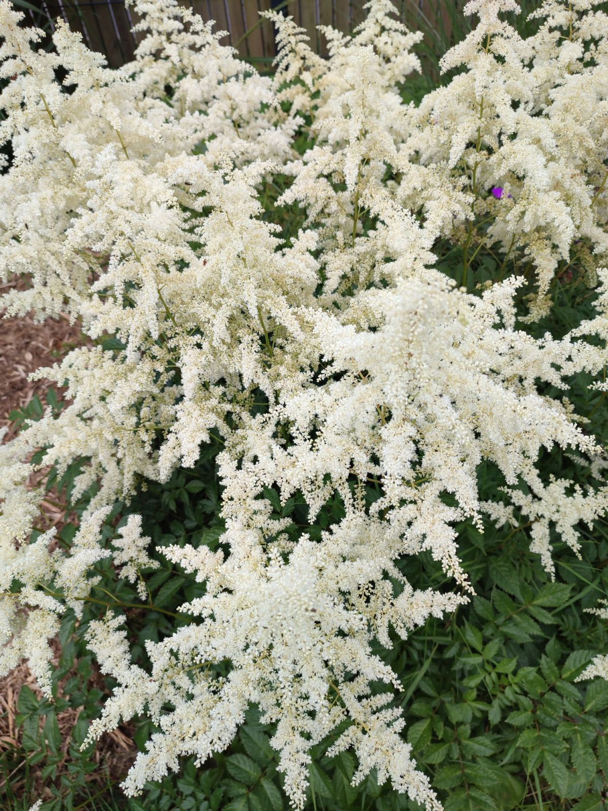 Ça frappe…. Eugène&nbsp;GUILLEVIC