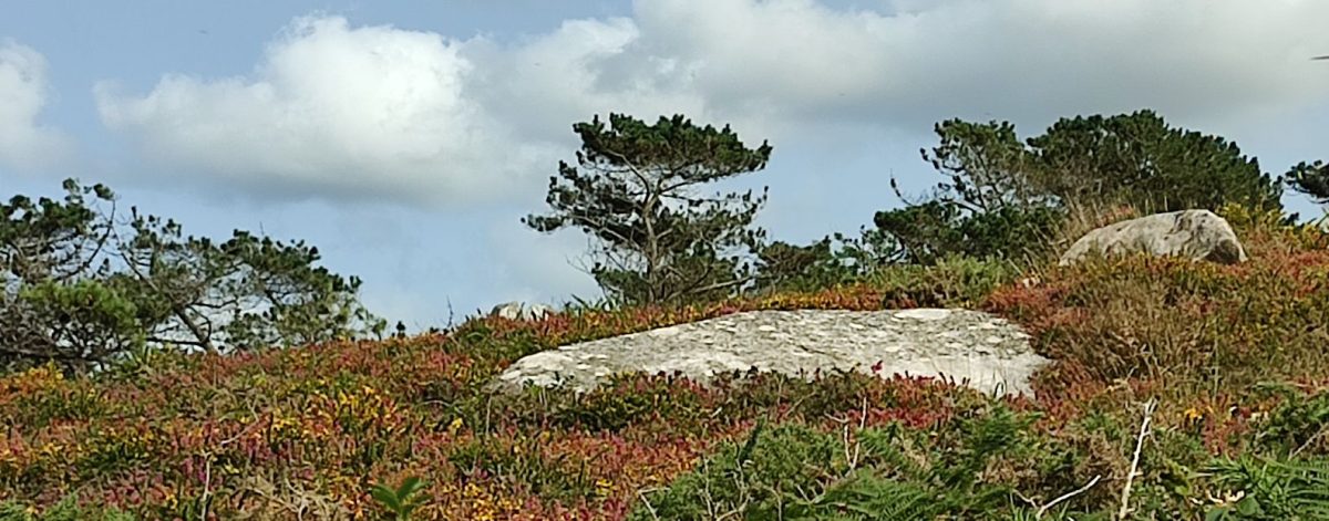 Dans l’œil d'une flâneuse Bretonne..